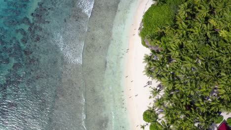 los turistas que toman el sol deambulan mientras las olas lavan una hermosa playa de arena, saona, aérea de arriba hacia abajo