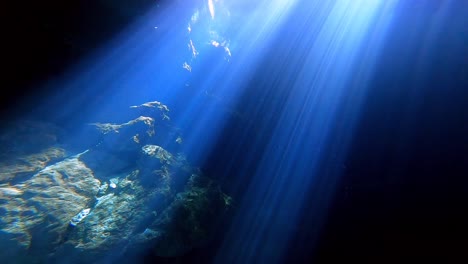 Sun-beams-through-water-in-underwater-cave,-cenote