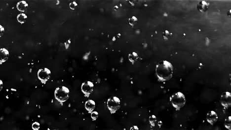 beautiful transparent bubbles in water moving slowly. stock footage. close up of many bubbles of air flowing underwater and some of them rising up on black background, monochrome