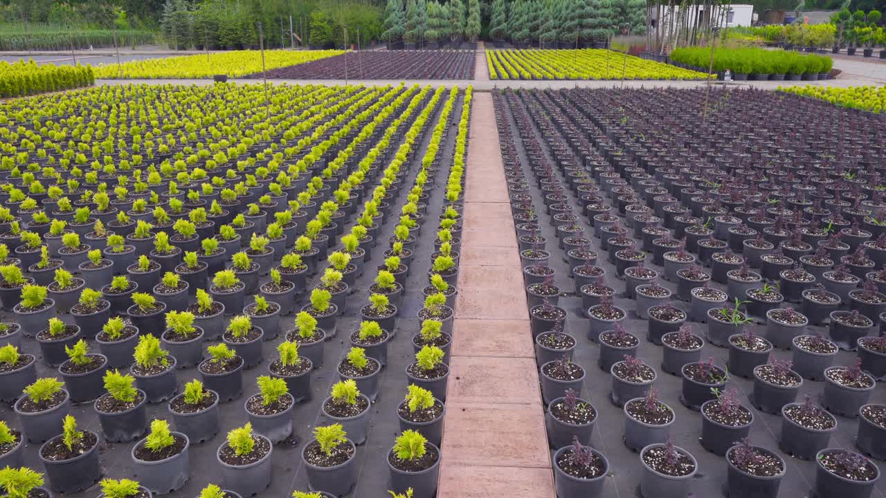 Farmer man walking in greenhouse.