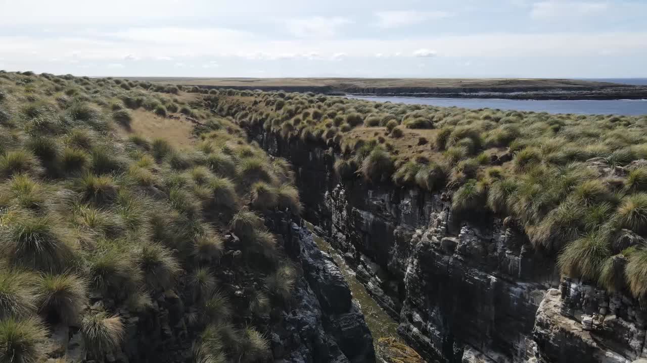 Camera moving forward over grassy cliff edge overlooking water inlet and distant coastline in falkland islands