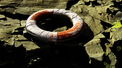 lifebuoy resting on rocky shore near water during bright daylight