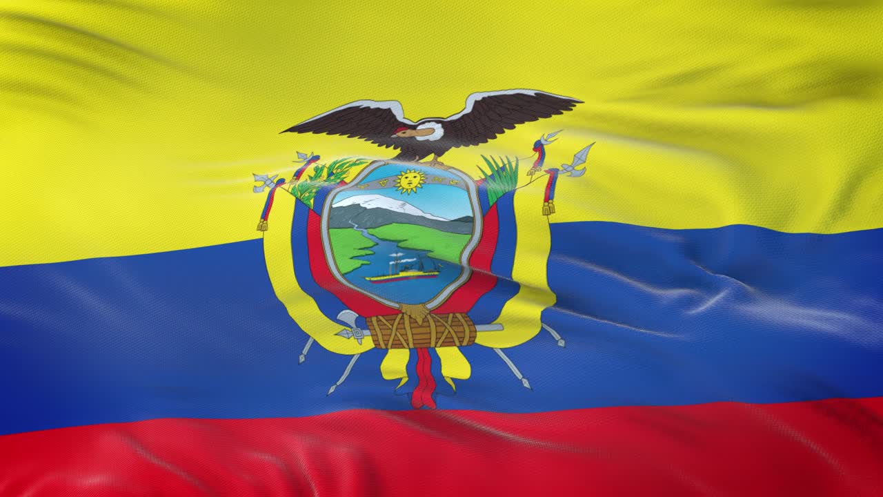 Bandiera dell'Ecuador che sventola al vento con una texture del tessuto altamente dettagliata. Loop continuo