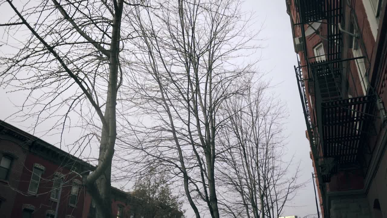 뉴욕 브루클린 거리에 카메라가 올라가고 있다