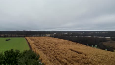 Drone-shot-of-a-winter-field-with-green-and-brown-crops,-framed-by-trees-under-a-cloudy-sky