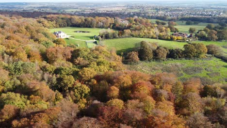 epping forest england theydon bois in distance uk in autumn vibrant tree colours sunny day aerial drone