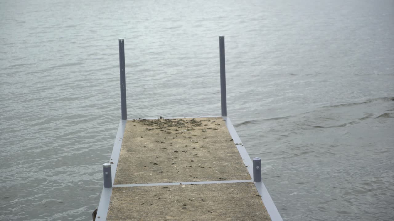 pato vuela al agua desde el muelle en un día nublado tiro estático
