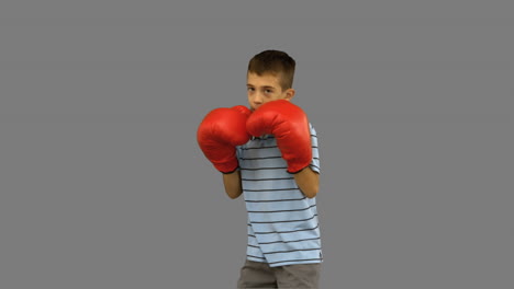 niño con guantes de boxeo boxeando en la pantalla gris