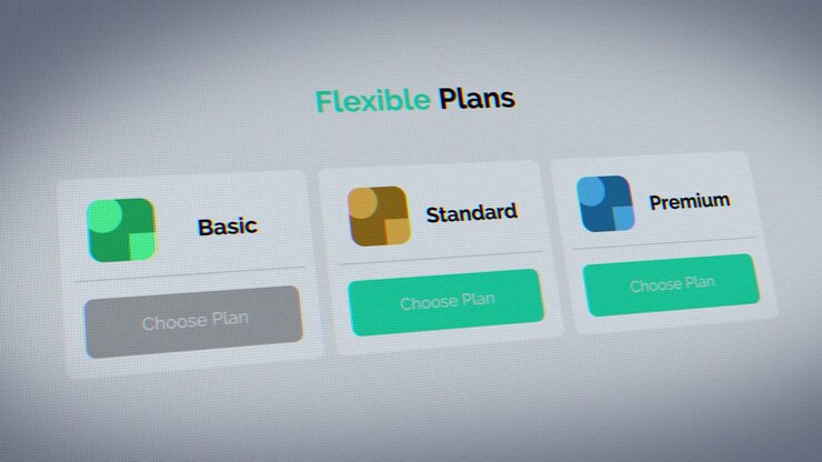 Choosing the basic plan in the user interface subscription table.
