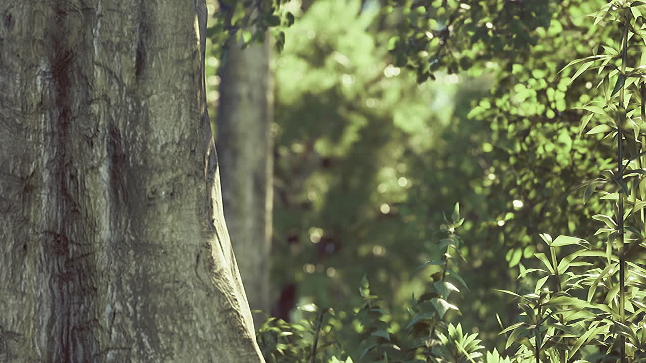 Majestic tree trunk amidst vibrant greenery in afternoon sunlight