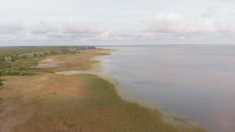 Secluded-european-Vortsjarv-lake-shores-Estonia-aerial