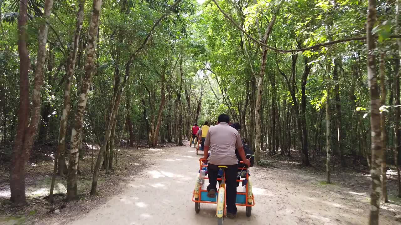Cinematic third person view, behind a bike rider on a jungle road