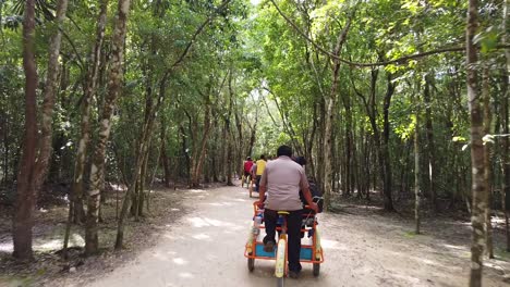 cinematic third person view, behind a bike rider on a jungle road