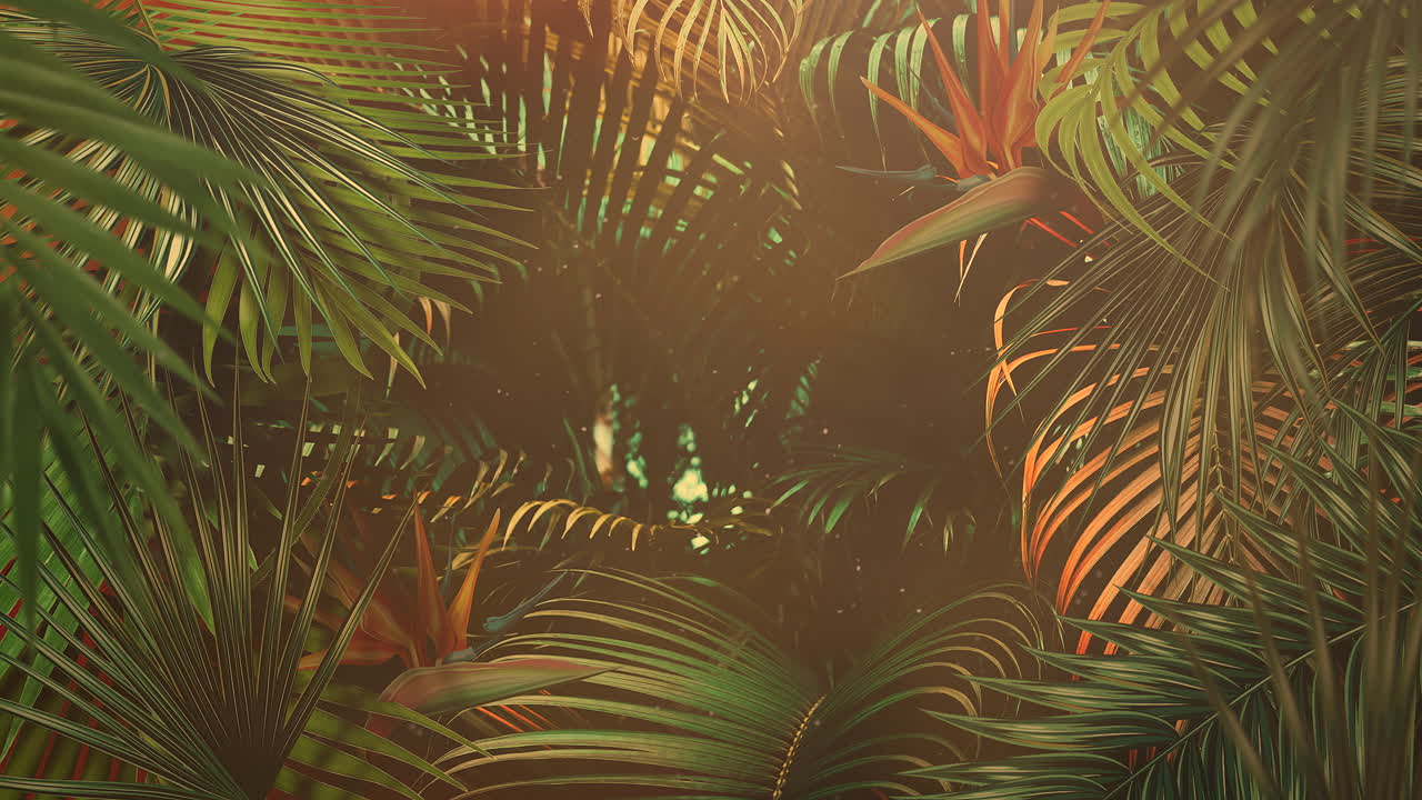 primer plano de hojas tropicales de árboles con fondo de verano 13