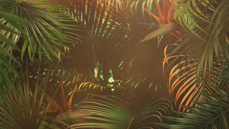 Closeup tropical leaf of trees with summer background 13