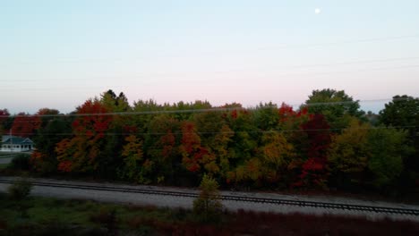 full fall colors on display amongst various types of trees near a rail road