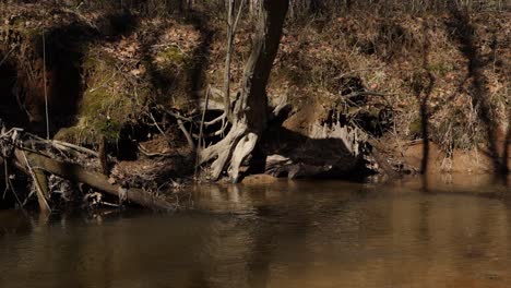 río agua reflexión orilla pan
