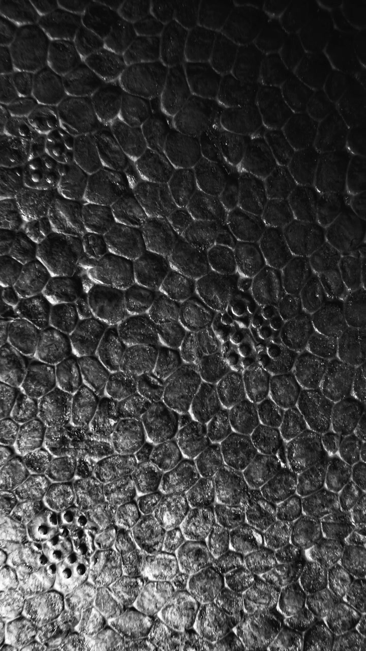 Styrofoam texture with hexagonal cells pattern