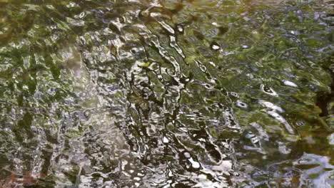 panning shot of creek water reflecting distorted patterns of trees and sky