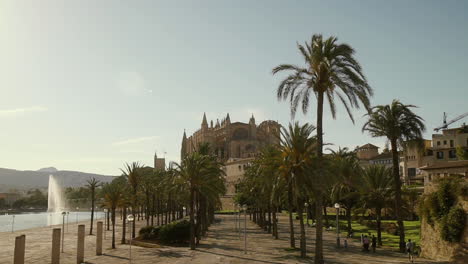 cathedral of palma de mallorca and almudaina on a sunny day