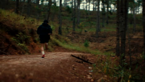 running through the forest
