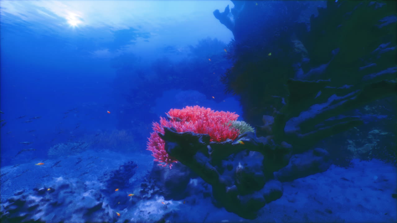 Vibrant coral reef thriving under clear blue waters in a marine sanctuary