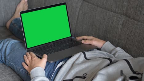 hombre viendo una computadora portátil de pantalla verde en un sofá