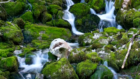 la rivière tombe parmi les pierres mousseuses.