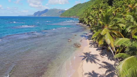 Caribbean-sand-beach-with-exotic-palm-trees,-turquoise-blue-ocean-water,-drone