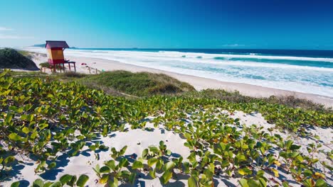 costa brasileña. dunas de arena y playa con plantas verdes cerca de la ciudad de campeche en brasil