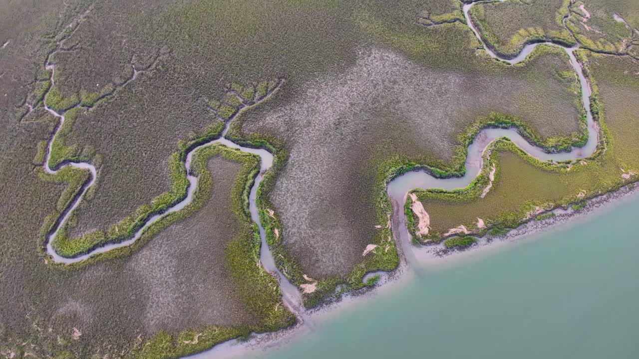 Top-down drone view reveals a snake-like tidal creek winding through coastal marshlands, with green vegetation contrasting against muddy banks in South Carolina