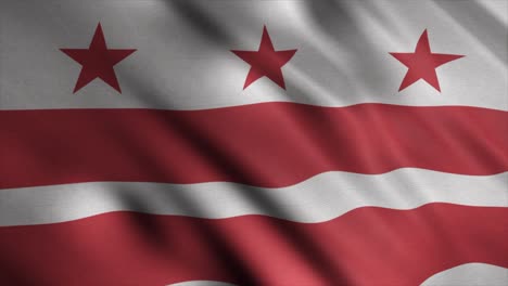 bandera del distrito de columbia