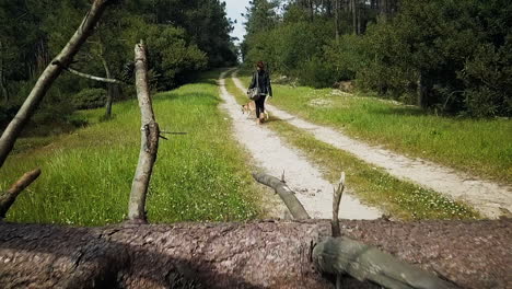 A-girl-walking-her-dog-in-a-forest-road,-the-dog-jumps-over-a-tree-and-the-drone-flies-through-some-branches