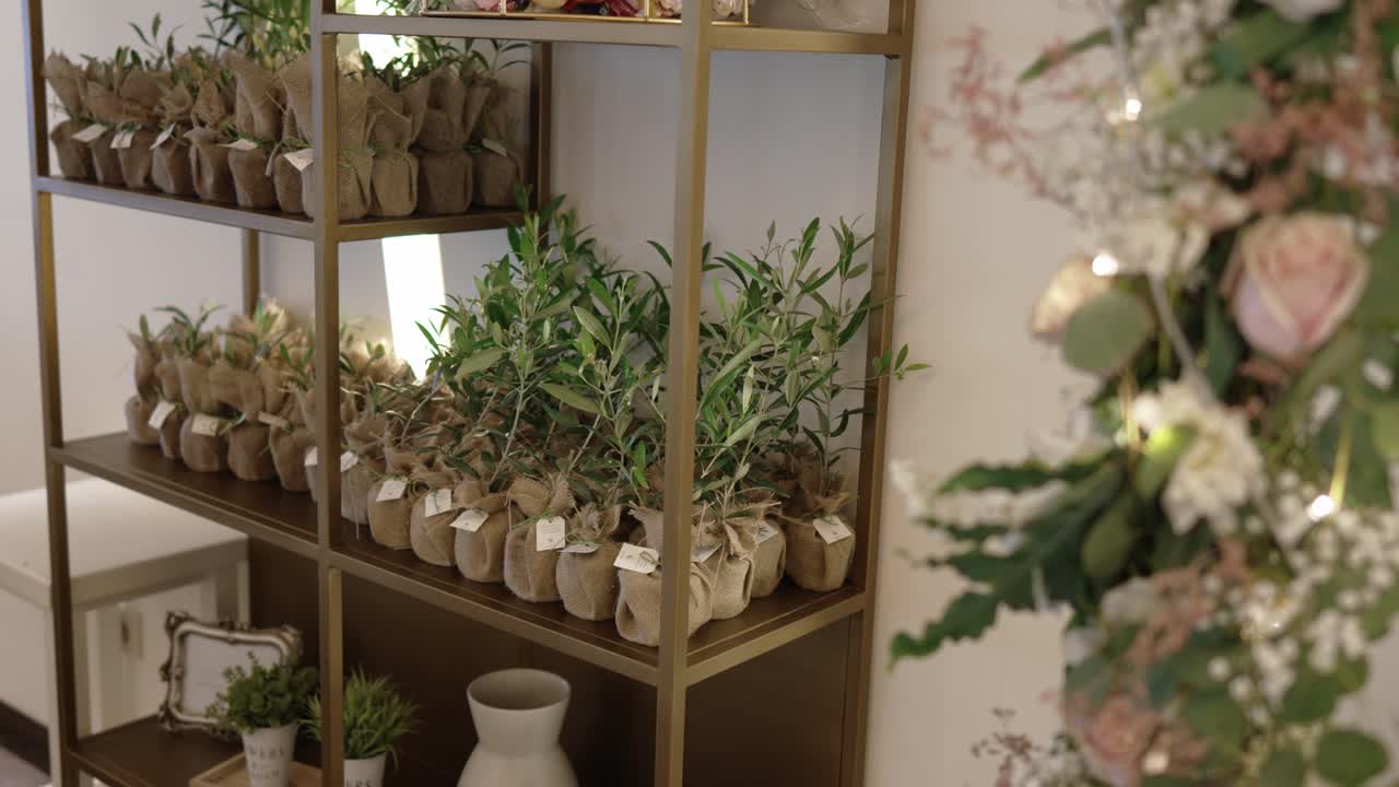 Pequeñas plantas en macetas envueltas como elegantes detalles para los invitados a la boda