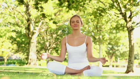 peaceful blonde doing yoga in the park