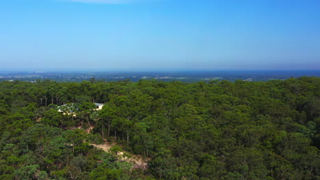 toma de una grúa aérea de una escena épica de la zona rural de sydney, australia, casas y un denso bosque montañoso de árboles verdes en un día despejado