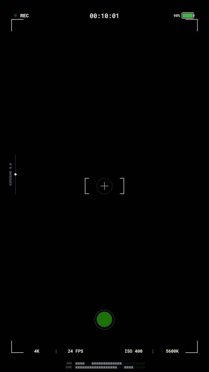 Digital Camera Viewfinder Interface Recording Screen