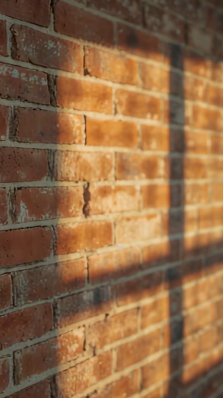 Vertical video: Shifting sunlight casting grid shadows on brick wall from low sun revealing mullion