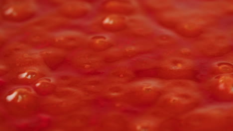 chicken in tomato sauce is boiling on a frying pan with spices. cooking tomato sauce curry with chicken fillet. traditional italian mexican asian dish. high quality studio shot for cafe, restaurant close up.