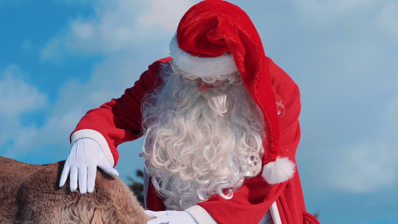 눈이끼를 먹는 순록