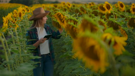 Eine-Frau-Zwischen-Hohen-Sonnenblumen-Notiert-Deren-Merkmale-Auf-Ihrem-IPad.-Sie-Bereitet-Eine-Wissenschaftliche-Arbeit-über-Botanik-Vor.