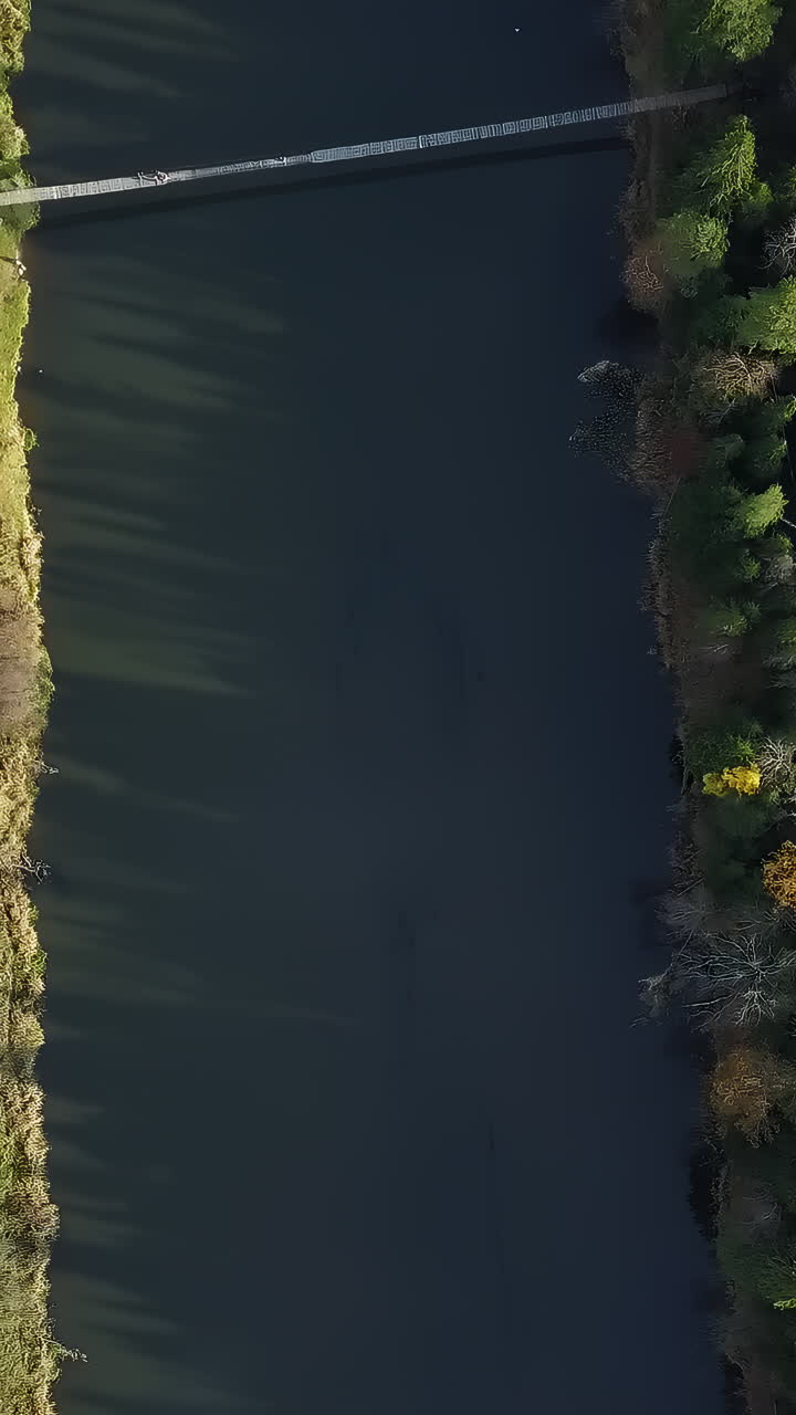 Vista aerea di lago e foresta con ponte