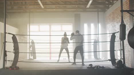 Video-Von-Fitten,-Vielfältigen-Frauen-Und-Männern,-Die-Im-Fitnessstudio-Boxen