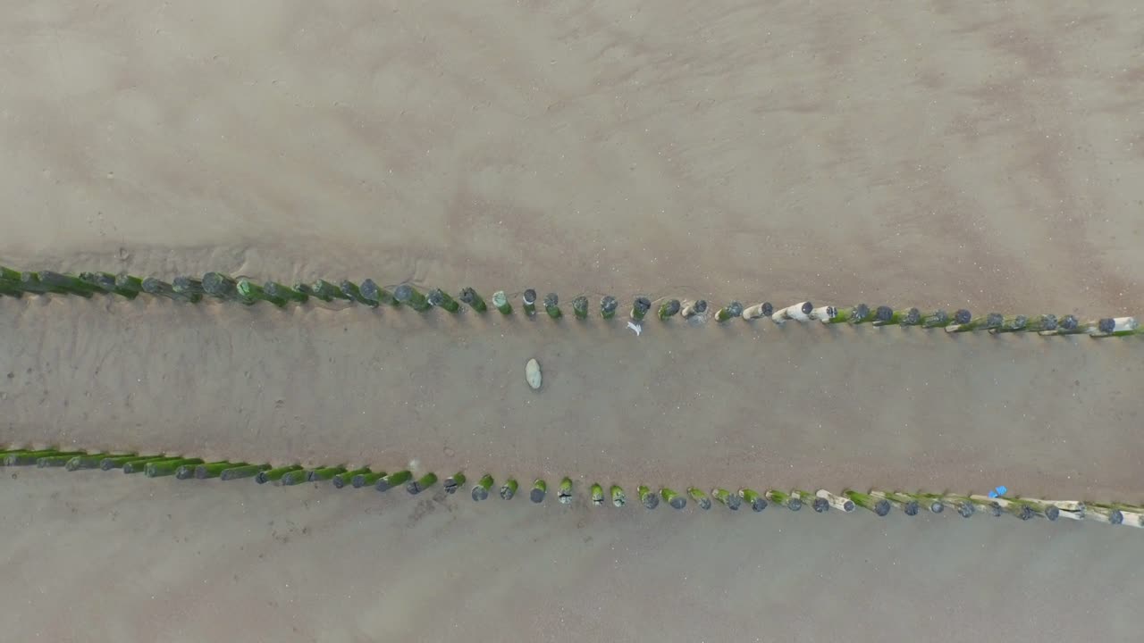Aerial view of a beach with wooden posts at low tide