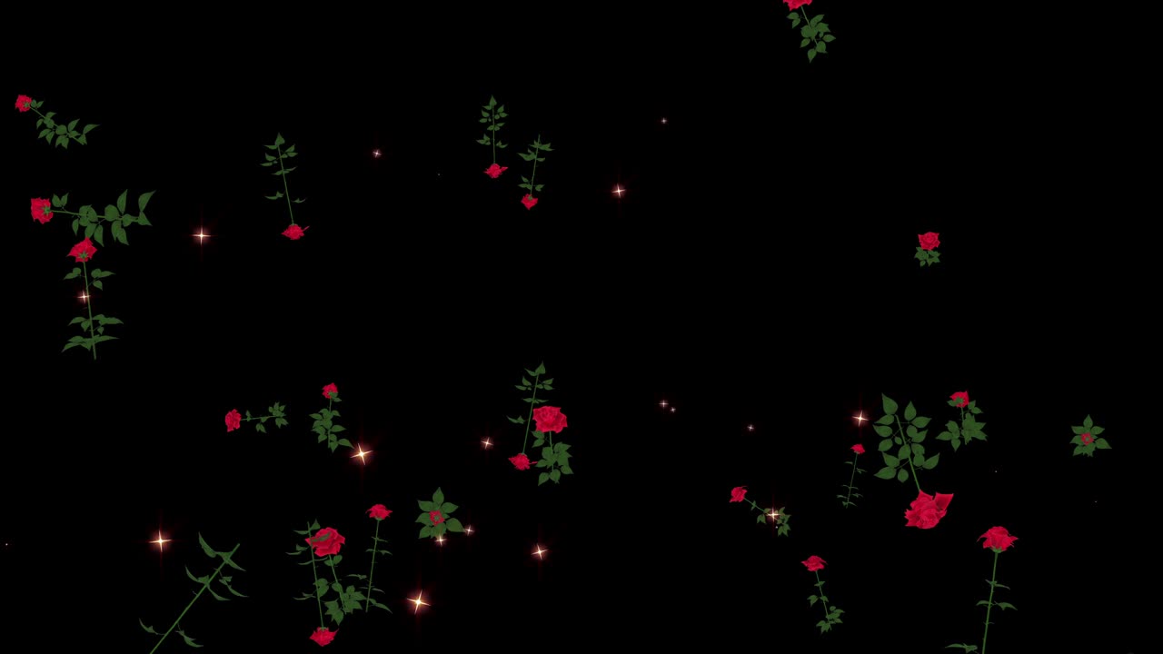 장미 꽃 입자 루프 애니메이션