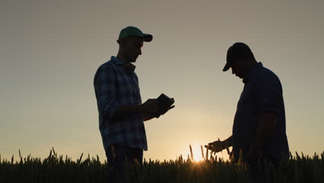 two farmers work in the field, communicate and use a tablet. technologies in agriculture