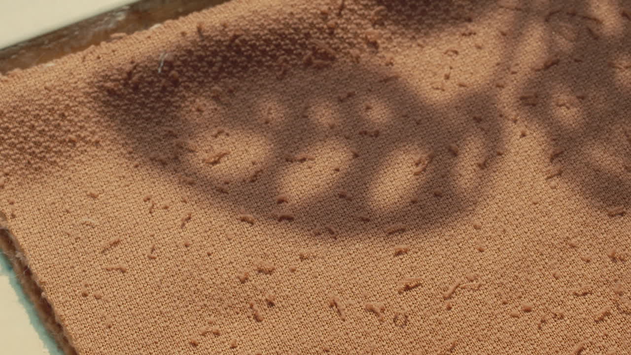 Paper Bear Pattern on Fabric