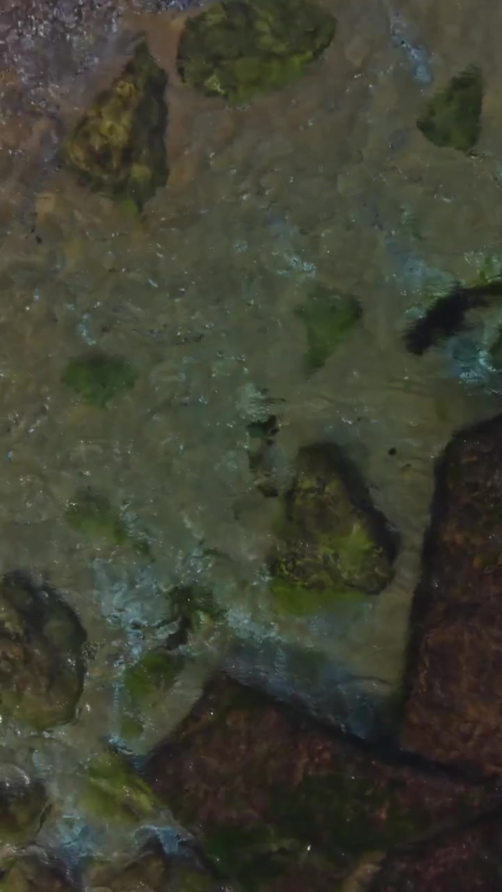 Aerial view of shimmering waters in Bulgaria captured by a drone