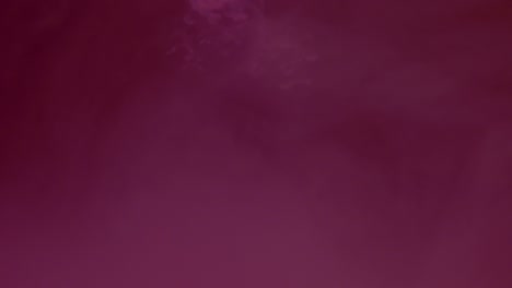 colorful red and blue paint drops mixing in water. ink swirling underwater. colored acrylic cloud abstract smoke explosion. close up view