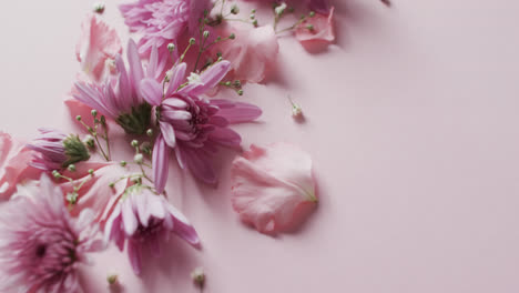 video de flores y pétalos rosados con espacio de copia en fondo rosado